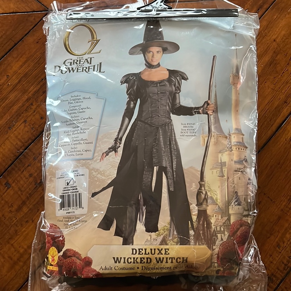 Disney Wizard of Oz Witch Costume - Large